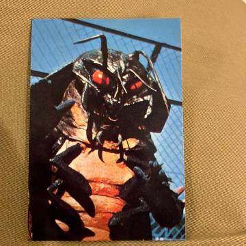 SLuj1999Jr[ʃC_[`bvX