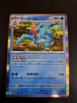 �I�[�_�C��