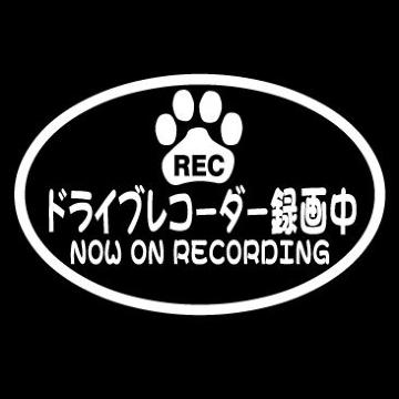 肉球 ドラレコ録画中 楕円A 12センチ