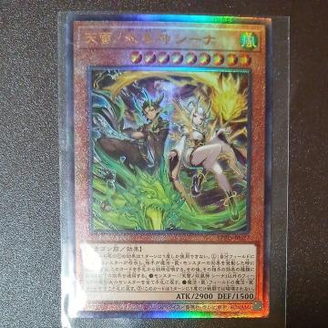 �V�Y���J�[�h�@�f���G�������X�^�[�Y�@�V���m�o���_�V�[�i�@�A���e�B���b�g�@