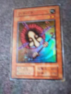 �V�Y���f���G�������X�^�[�Y