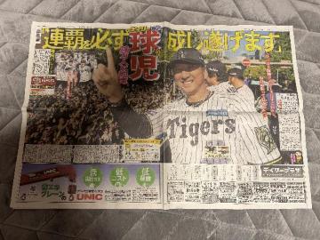 _^CK[X2025N Dp[h̐VL fC[X|[cV Vi!B