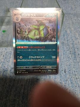 �o���M���X