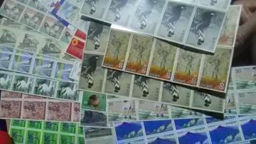 gpi20~؎200  20200[1