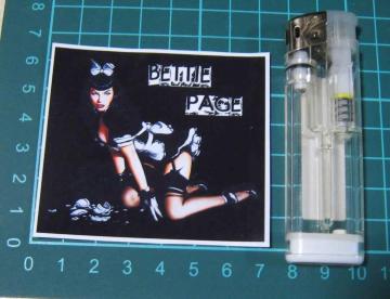 �x�e�B�y�C�W�@���C�h����@�唻�X�e�b�J�[