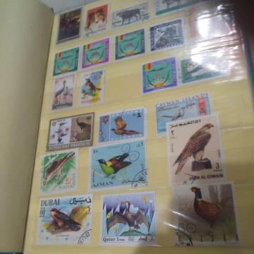 �X�^���v�A���o��