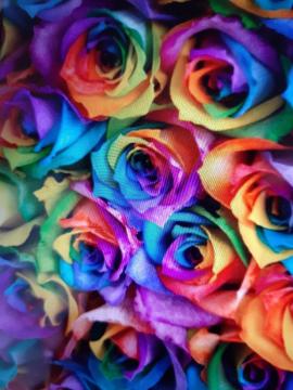 �K�N�@���C���{�[�@��