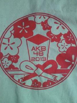 AKB48 2013   İޯ z BAG   ΂