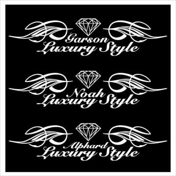 ピンスト ギャルソン Luxury Style  50センチ