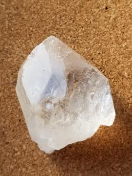 44.5g