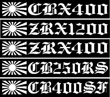 旭日 ZRX1200    20センチ 2枚組