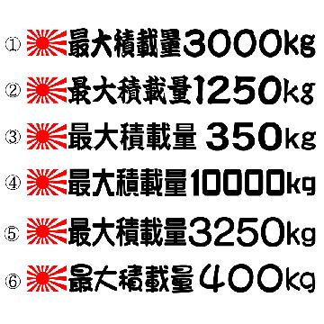 旭日 最大積載量 3000kg 25センチ 2枚組