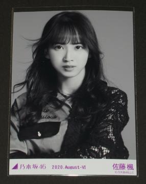 �T�؍�46�@�������@���ʐ^�P���@���m�N���[���|�[�g���[�g