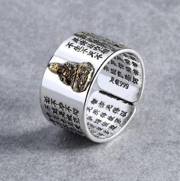 Vi_  ɔ@ w O Vo[ [܁NXt