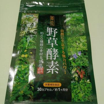 쑐yfTvgV[hRX̖쑐yf1