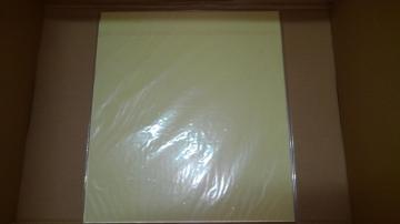 ブスに花束を。 非売品 限定 直筆 サイン 入り イラスト 色紙 Sランク