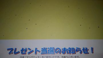 ブスに花束を。 非売品 限定 直筆 サイン 入り イラスト 色紙 Sランク