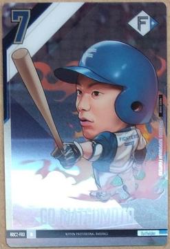 v싅ftHJ[h@HOKKAIDO NIPPONHAM FIGHTERS@{