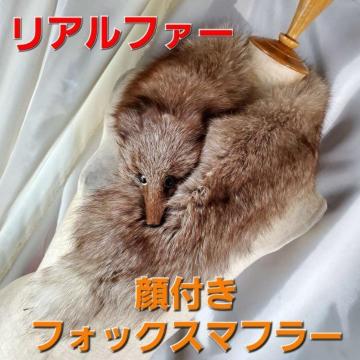 ���݁����A���t�@�[����t���t�H�b�N�X�}�t���[��