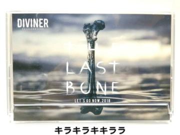 sNewt2018NyDIVINERzڂŽد*ް<񔄕i>