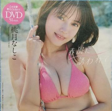 @OrAACh Ȃ  t^ DVD@1@@@Y@