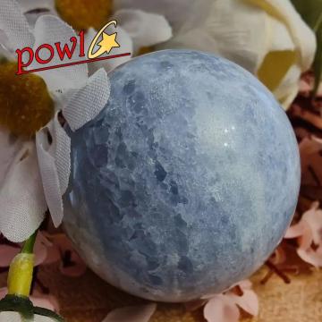 50-55u[JTCg{[ ZX^Cg NX^XtBA{[ۋ