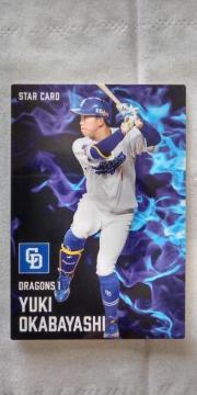 2025�v���싅�`�b�v�X��P�e���������їE��X�^�[�J�[�h