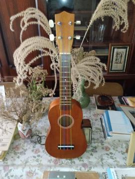 �E�N����