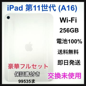 �������g�p iPad �� 11 ���� 256 GB Wi-Fi �V���o�[ �{��