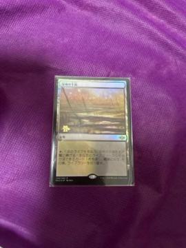 MTG FOIL ���n�̊��� �v����