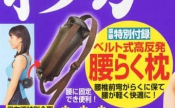わかさ雑誌付録★ベルト式高反発 腰らく枕
