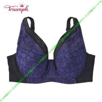 yzVi gv ełLCȃtJbvuW[ C95 lCr[