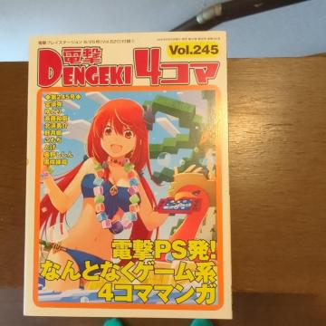 �d���S�R�}vol.245