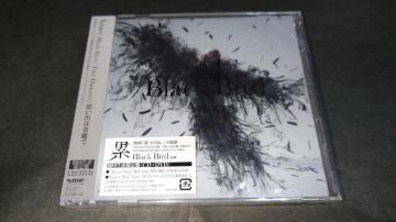 yVizBlack Bird/Tiny Dancers/vo͊(񐶎Y)/Aimer(G) --