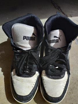 PUMA nCJbgXj[J[ obV v[}  2V.5cm  򉻂  iɂ