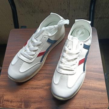 Vi 25cm fB[X Xj[J[ zCg V[Y C JWA