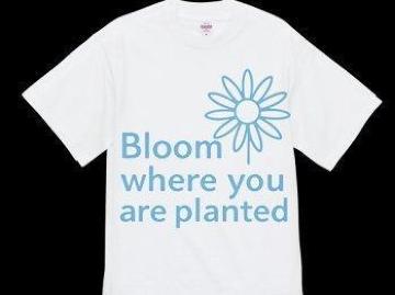 nCNIeB[ TVcԁ@X^bV@@