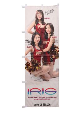 IRIS Ôڂ(2)(MTC)