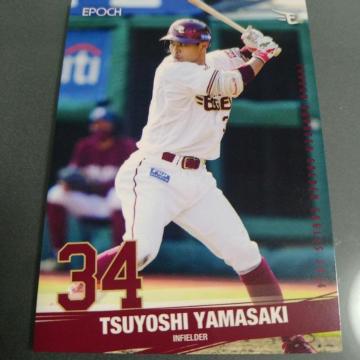 EPOCH �y�V�C�[�O���X�J�[�h�@�R�荄