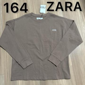 �V�i���g�p�@164�T�C�Y ��������T �J�b�g�\�[�@�g�b�v�X�@�U��ZARA