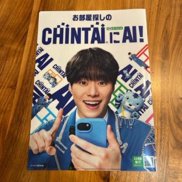 ���񔄕i���������T����CHINTAI��AI! A4�t�@�C���@�勴�a��@�Ȃɂ�j�q��