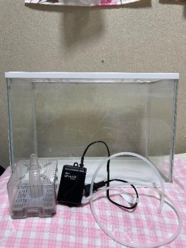 �g�t���K���X����