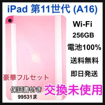 �������g�p �� 11 ���� 256 GB Wi-Fi �s���N �{��