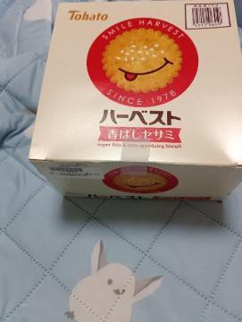 ngAn[xXgA΂ZT~