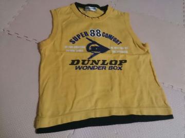 120 DUNLOP CG[ Ȃ i