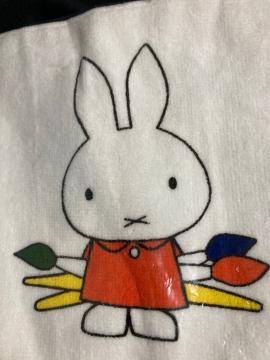 Я̨ miffy ASA  ^I nJ` zCg