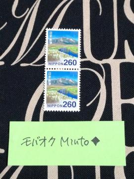 gp260~ʐ؎2520~oyC}