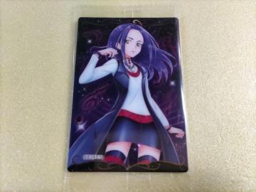 �v���L���A �J�[�h �E�G�n�[�X 12�y�Z�C���[���z