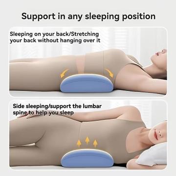 ���������i2190�~���y�x�b�h�p�z���ŃT�|�[�g�� - �l�ԍH�w�Ɋ�Â������̉H�̌`��A3D�E�G�X�g���J�[�u�h�N���b�h �u���[�O���[