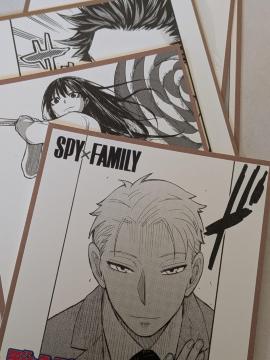 �W�p�ЃR�~�b�N�t�F�A����~�j�F���Z�b�g